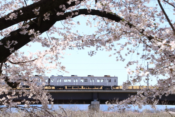 f:id:hyama5071:20210407204103j:plain