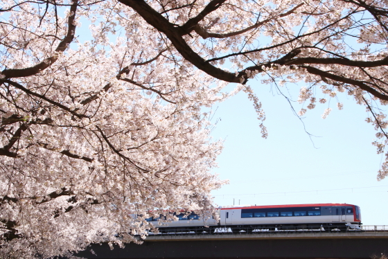 f:id:hyama5071:20210407204126j:plain