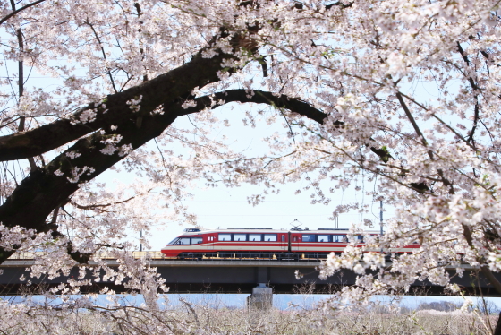 f:id:hyama5071:20210407204241j:plain