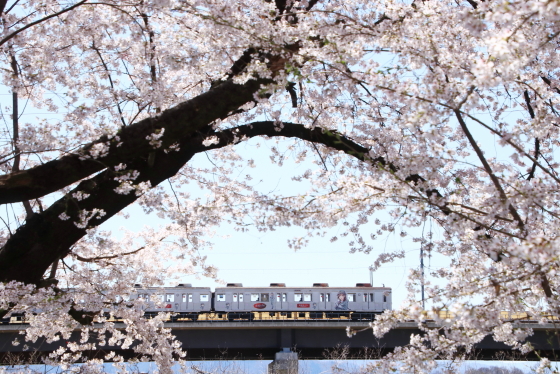 f:id:hyama5071:20210407204311j:plain