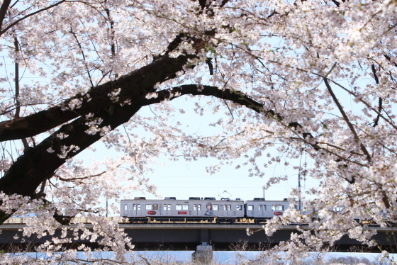 f:id:hyama5071:20210407204358j:plain