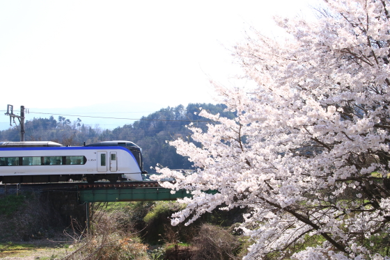 f:id:hyama5071:20210407205433j:plain