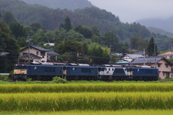 f:id:hyama5071:20210902204623j:plain