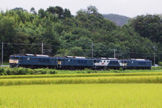 f:id:hyama5071:20210902204722j:plain