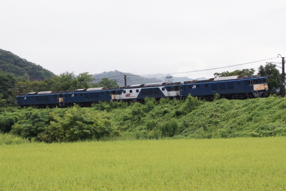 f:id:hyama5071:20210902204748j:plain