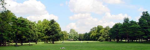 公園3