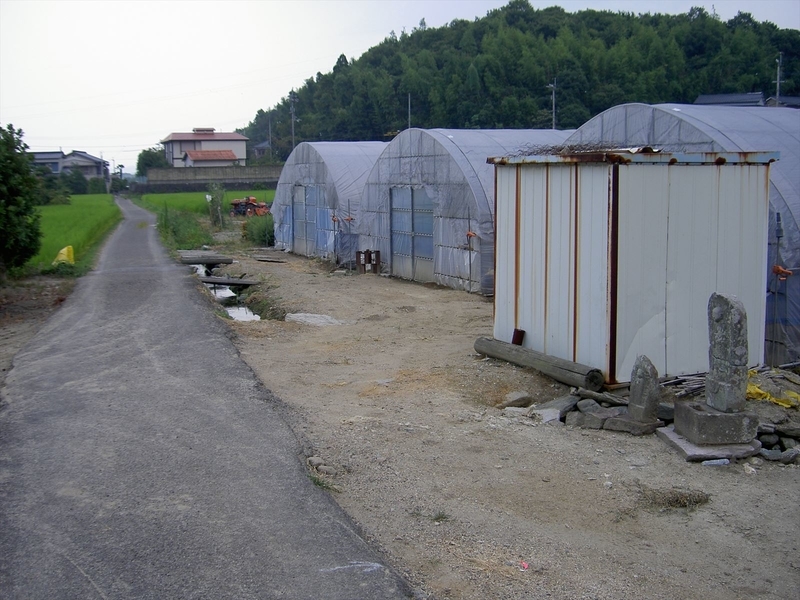 f:id:hyamatyan:20200720204702j:plain f:id:hyamatyan:20200720204702j:plain