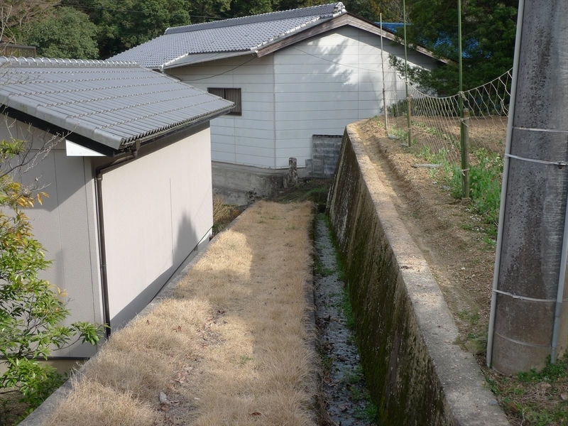 f:id:hyamatyan:20200720205202j:plain f:id:hyamatyan:20200720205202j:plain