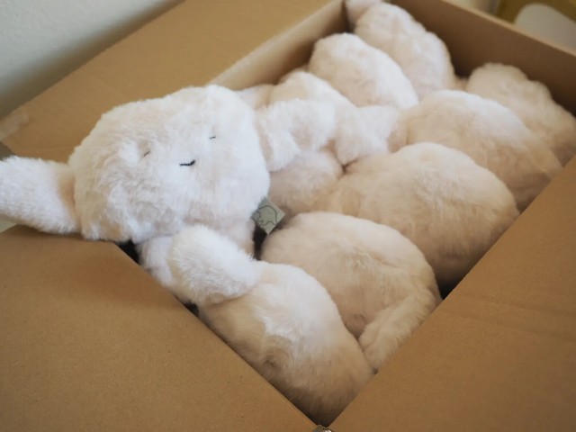 f:id:hyanahyu:20240310174116j:image f:id:hyanahyu:20240310174116j:image