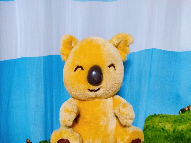f:id:hyanahyu:20240416071612j:image f:id:hyanahyu:20240416071612j:image