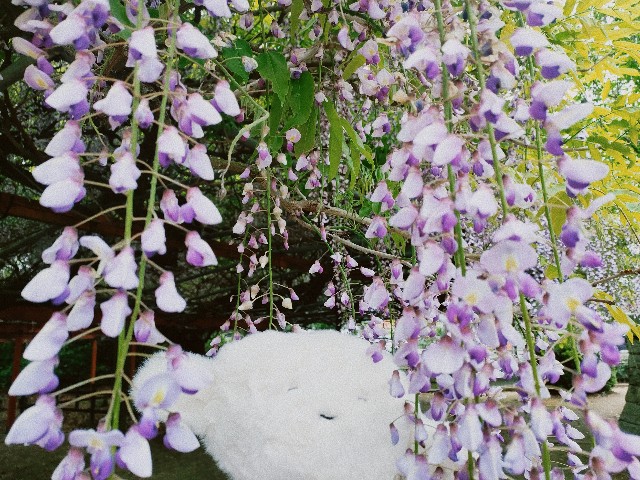 f:id:hyanahyu:20240421001612j:image