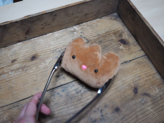 f:id:hyanahyu:20240427222539j:image