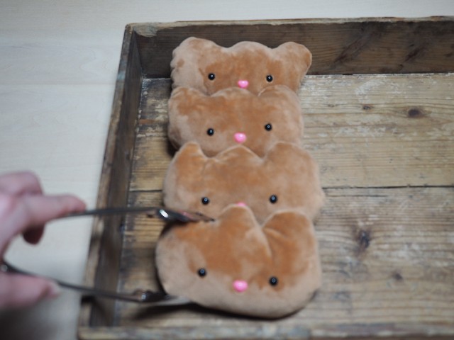 f:id:hyanahyu:20240429074123j:image f:id:hyanahyu:20240429074123j:image