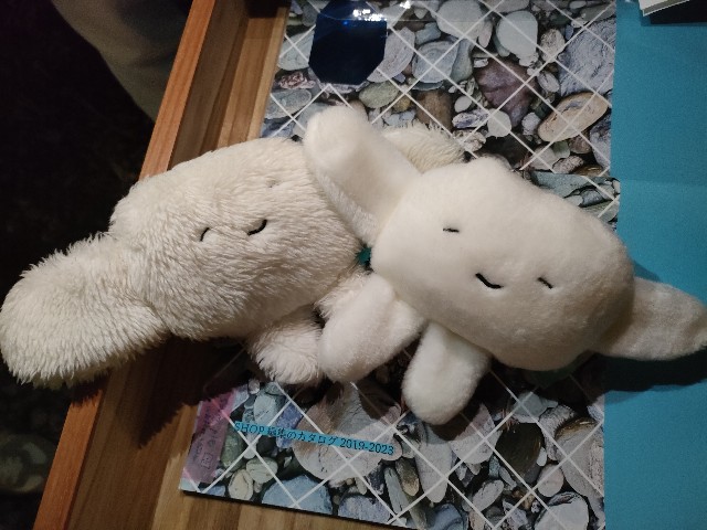 f:id:hyanahyu:20241007071200j:image f:id:hyanahyu:20241007071200j:image