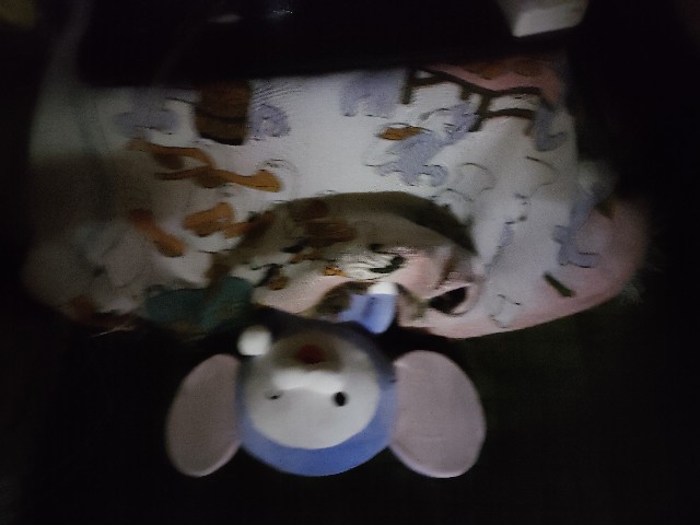 f:id:hyanahyu:20241204073310j:image