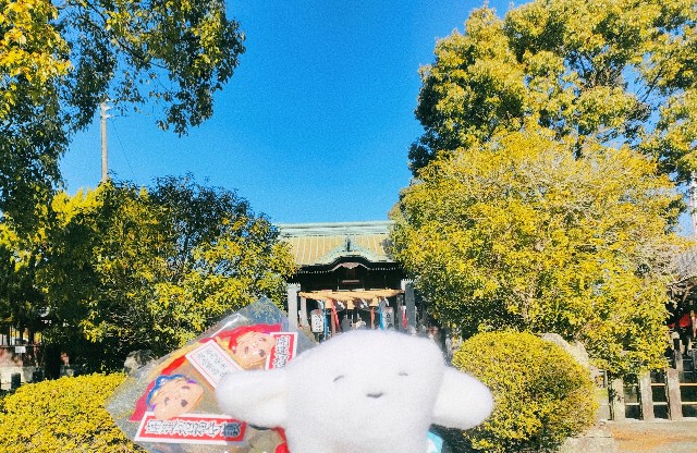 f:id:hyanahyu:20250102231238j:image
