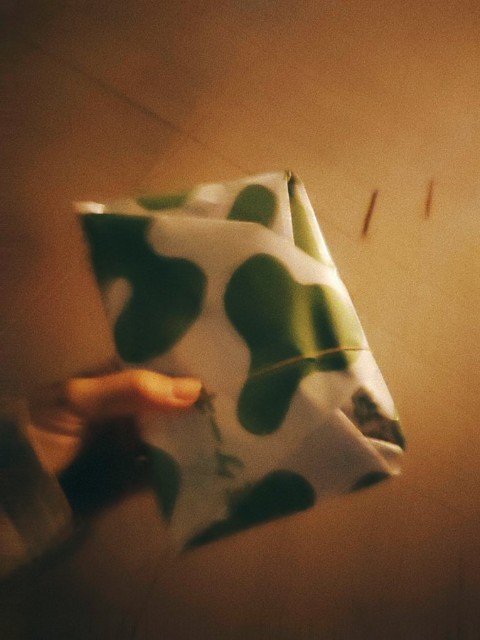 f:id:hyanahyu:20250102232121j:image