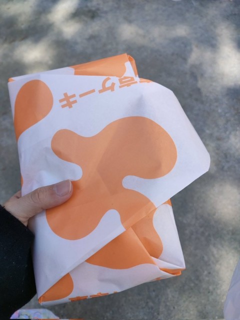f:id:hyanahyu:20250102232133j:image