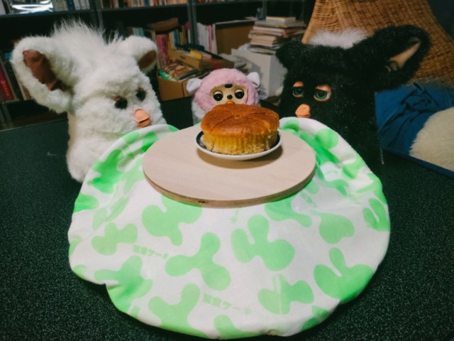 f:id:hyanahyu:20250115183302j:image