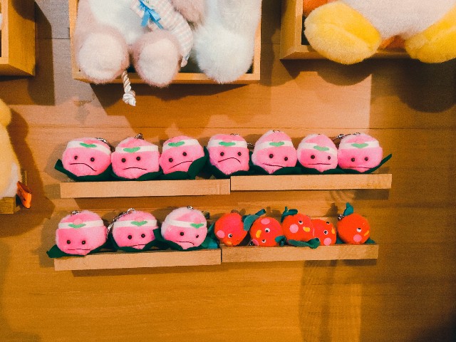 f:id:hyanahyu:20250127073004j:image