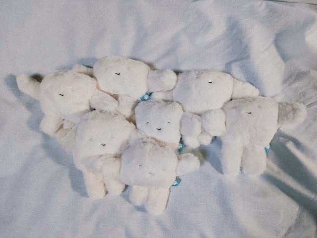 f:id:hyanahyu:20250227231246j:image f:id:hyanahyu:20250227231246j:image
