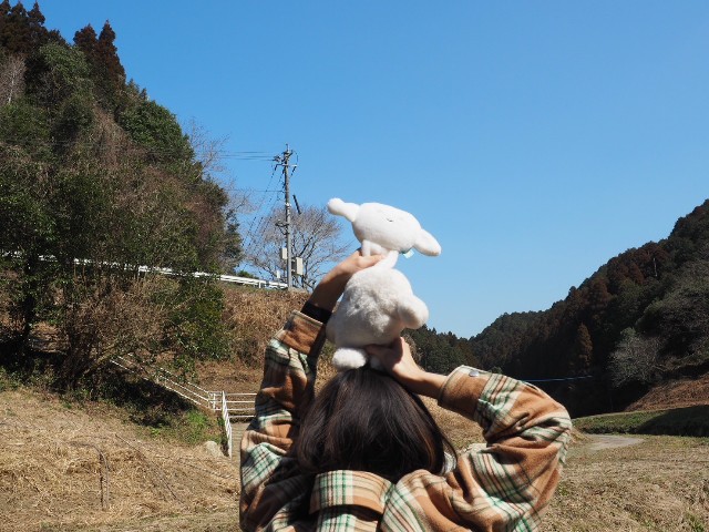 f:id:hyanahyu:20250310072838j:image f:id:hyanahyu:20250310072838j:image
