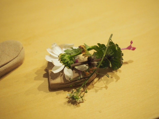 f:id:hyanahyu:20250310073207j:image f:id:hyanahyu:20250310073207j:image