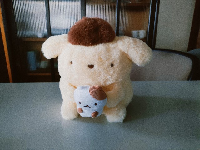 f:id:hyanahyu:20250411074801j:image