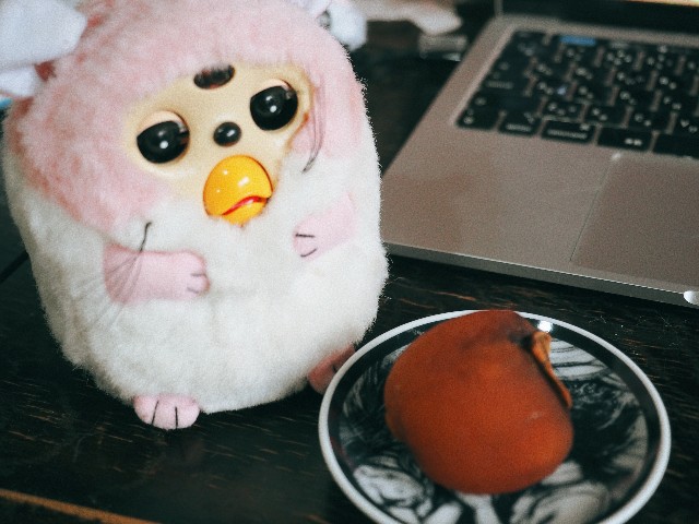 f:id:hyanahyu:20251114114627j:image
