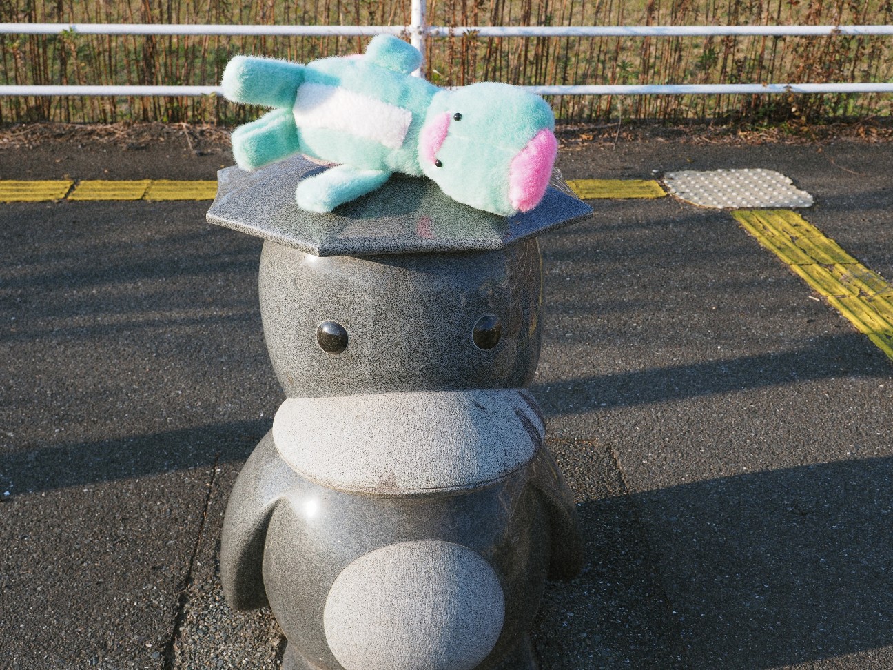 f:id:hyanahyu:20251229164932j:image f:id:hyanahyu:20251229164932j:image