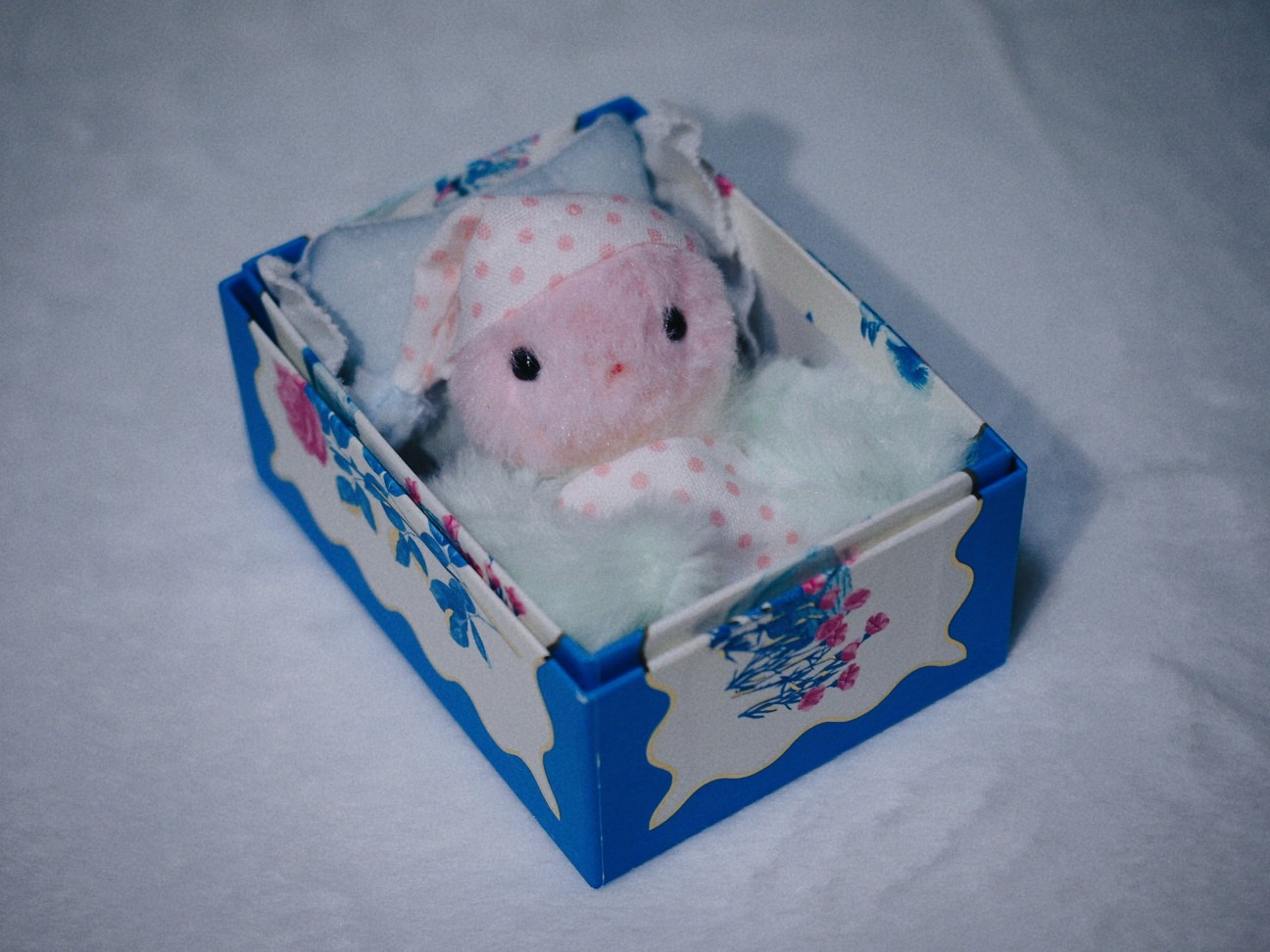 f:id:hyanahyu:20260120080129j:image f:id:hyanahyu:20260120080129j:image