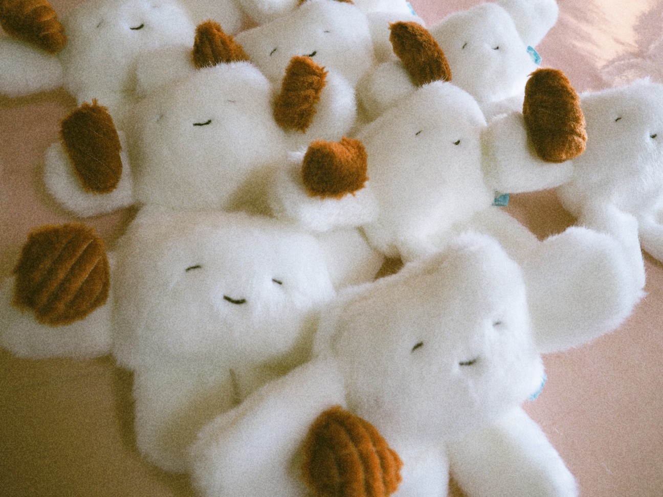 f:id:hyanahyu:20260226161839j:image