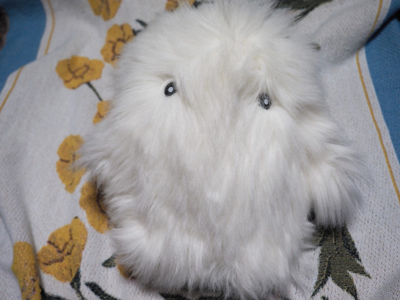 f:id:hyanahyu:20260313204204j:image