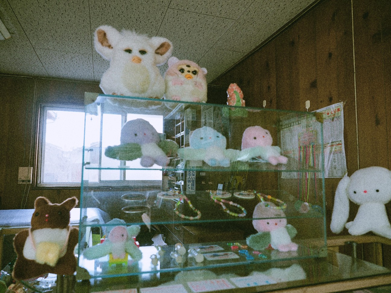 f:id:hyanahyu:20260322130655j:image