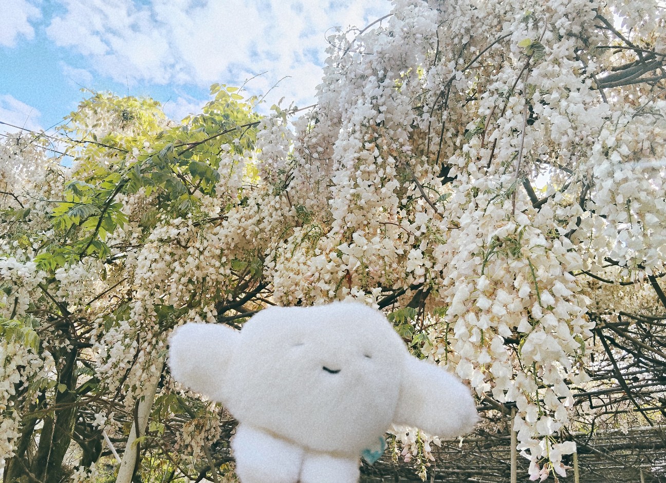 f:id:hyanahyu:20260416104915j:image