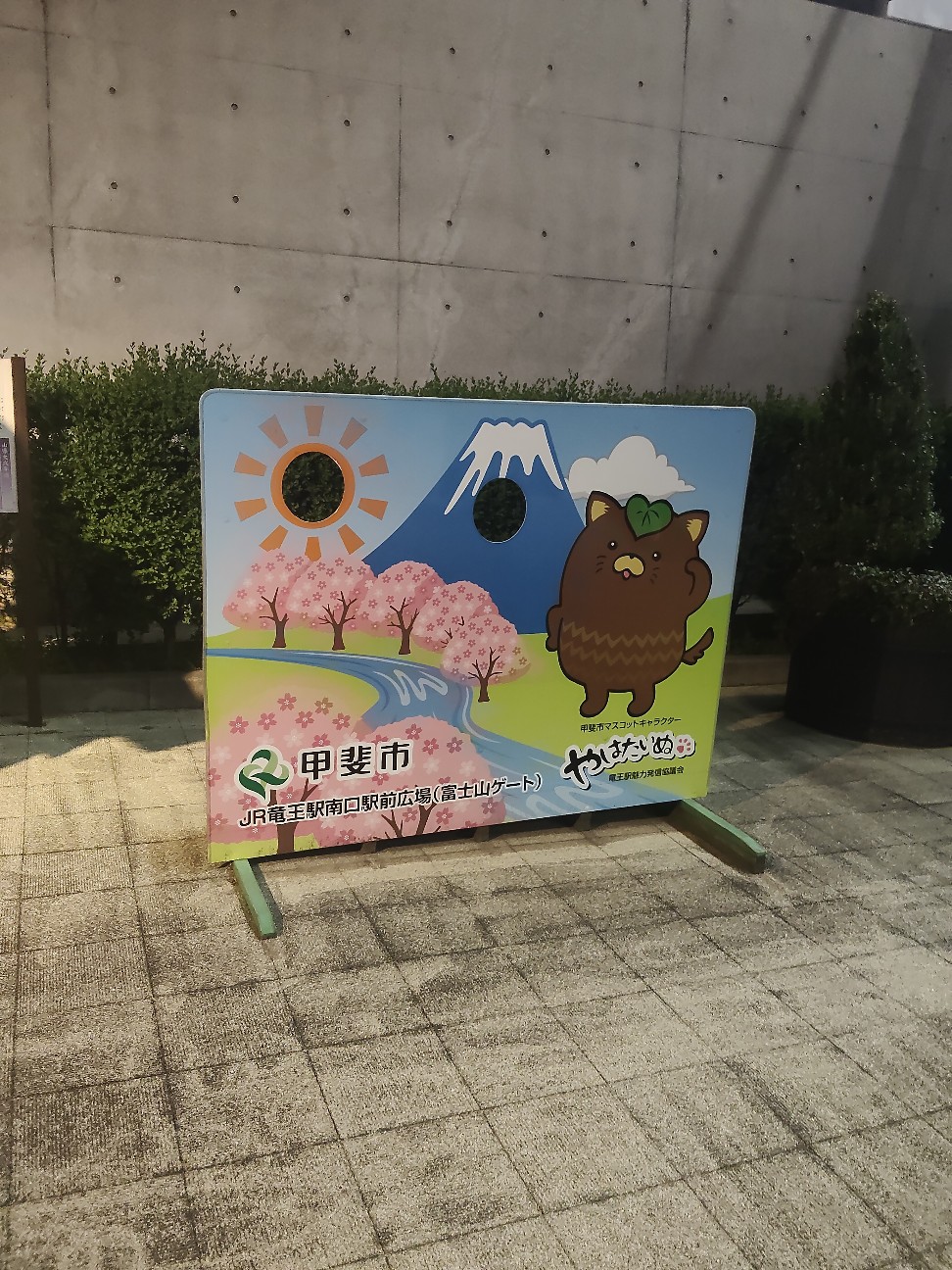 f:id:hyanahyu:20260516085644j:image f:id:hyanahyu:20260516085644j:image