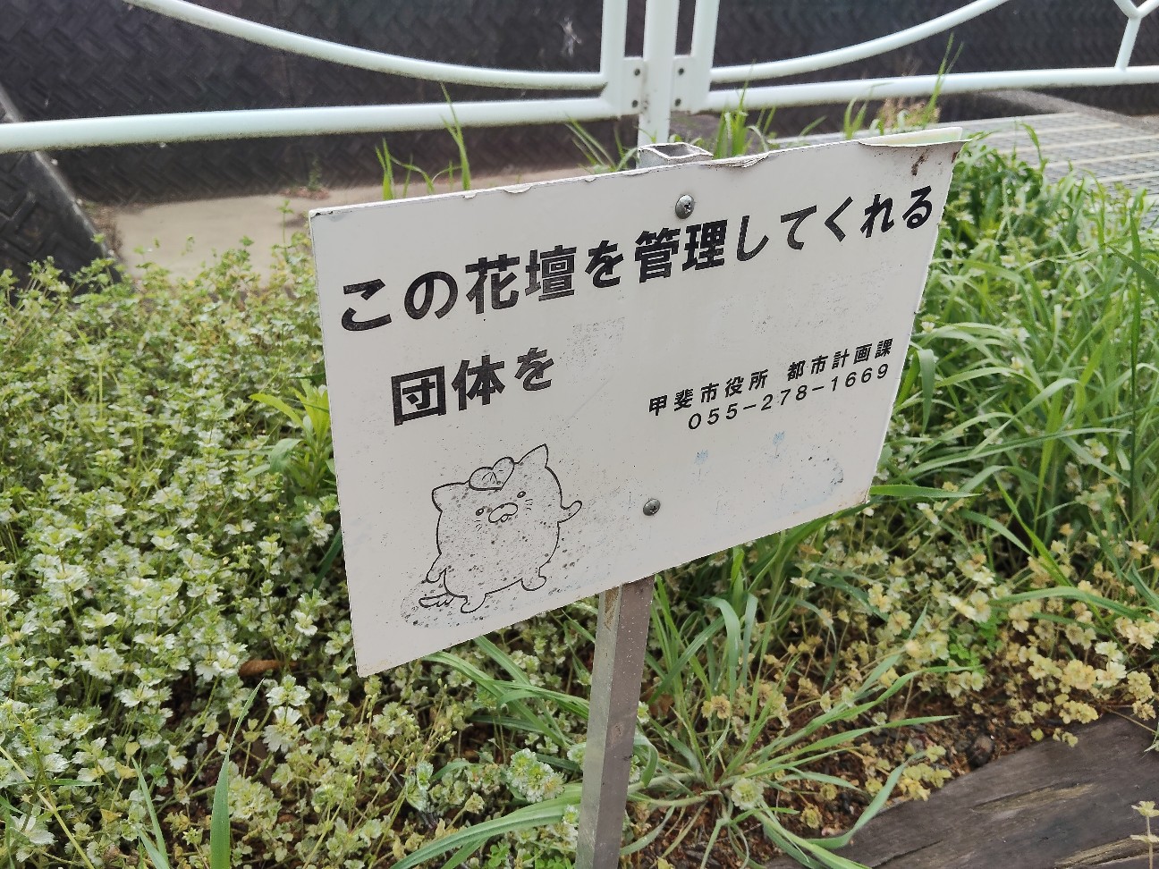 f:id:hyanahyu:20260516091009j:image f:id:hyanahyu:20260516091009j:image