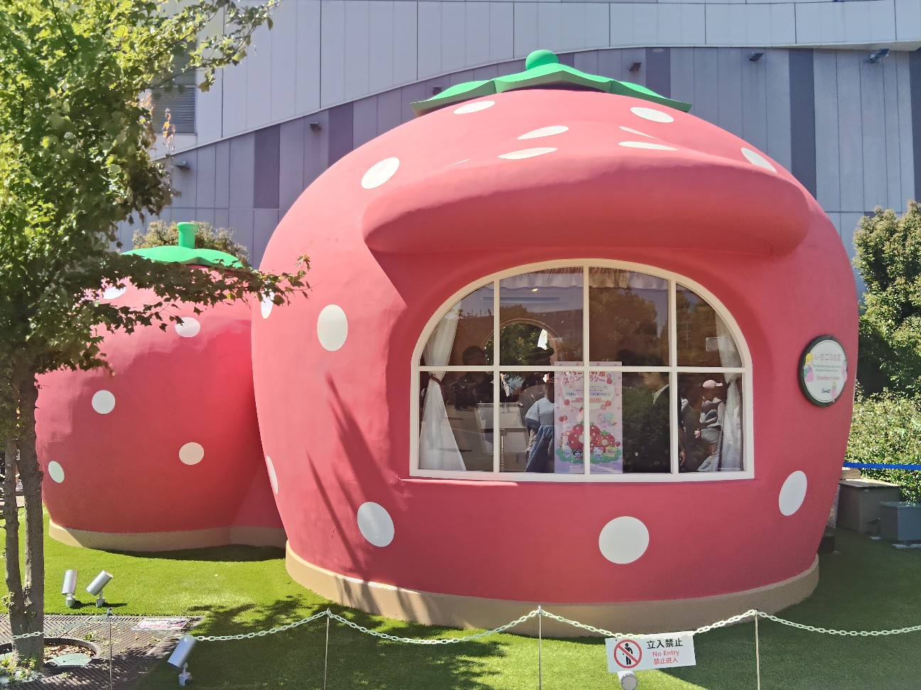 f:id:hyanahyu:20260516091621j:image f:id:hyanahyu:20260516091621j:image
