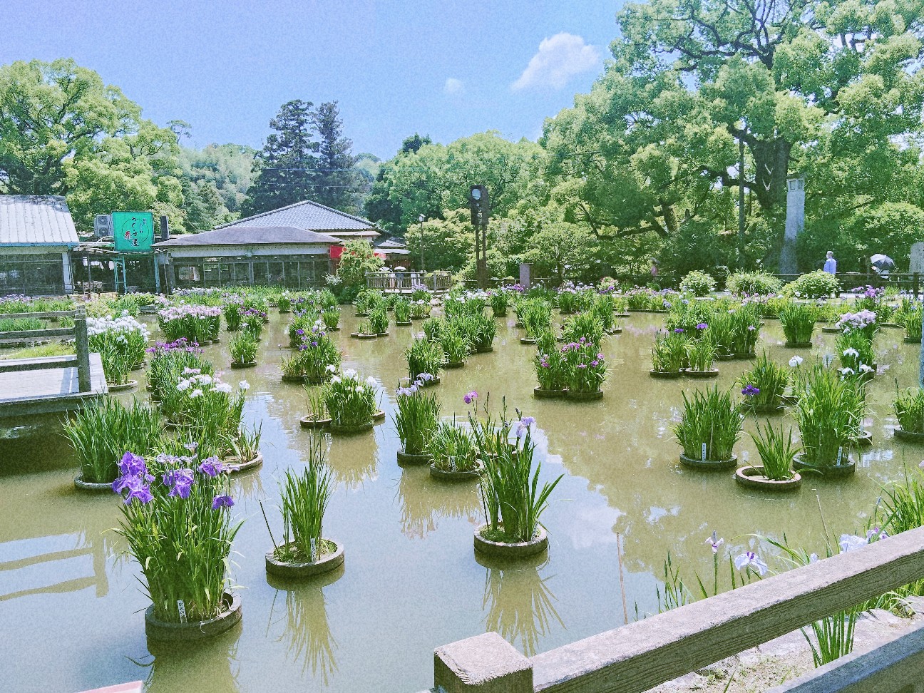 f:id:hyanahyu:20260530090817j:image