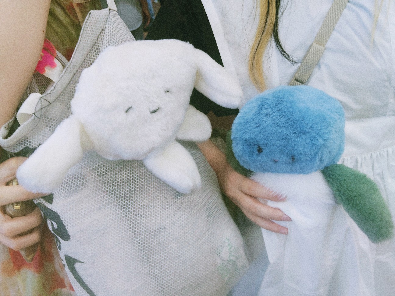 f:id:hyanahyu:20260607124457j:image f:id:hyanahyu:20260607124457j:image