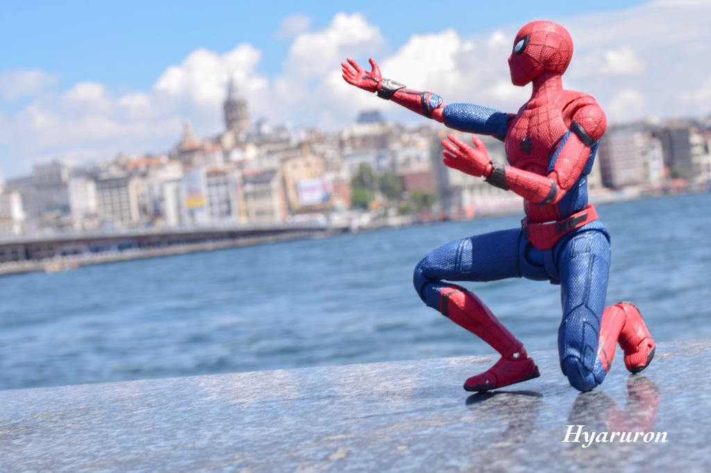 f:id:hyaruron_toy:20180831010631j:plain f:id:hyaruron_toy:20180831010631j:plain