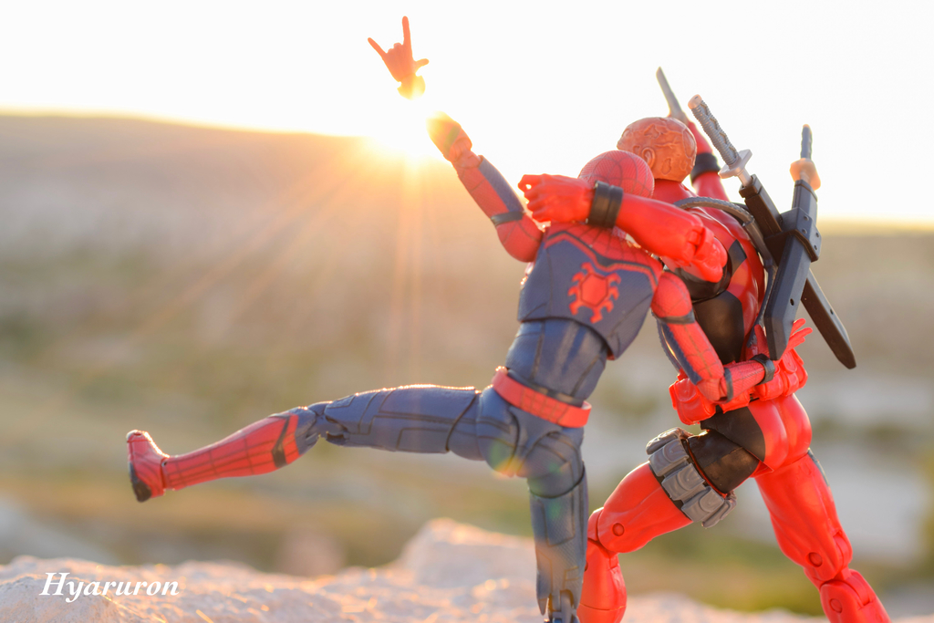 f:id:hyaruron_toy:20180831192010j:plain f:id:hyaruron_toy:20180831192010j:plain