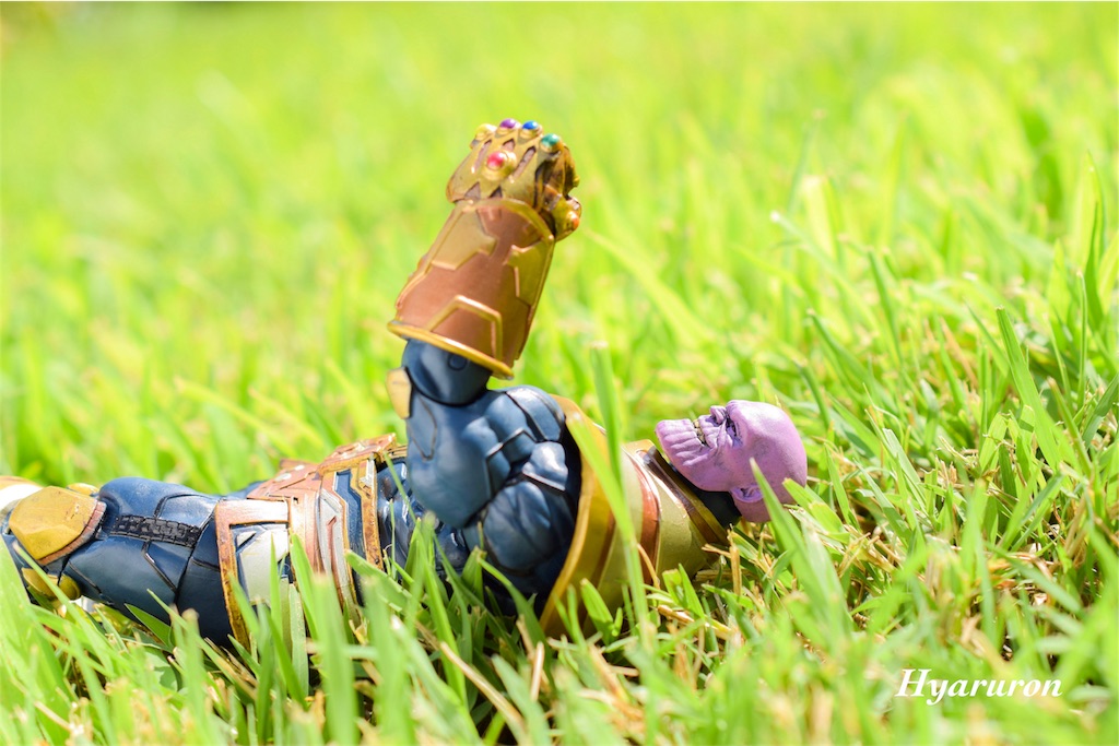 f:id:hyaruron_toy:20180831193207j:image f:id:hyaruron_toy:20180831193207j:image