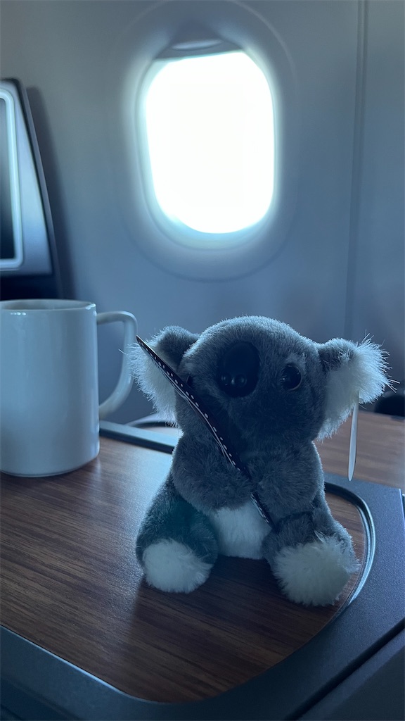 早朝フライトでニューヨークへ【搭乗記】アメリカン航空ビジネス