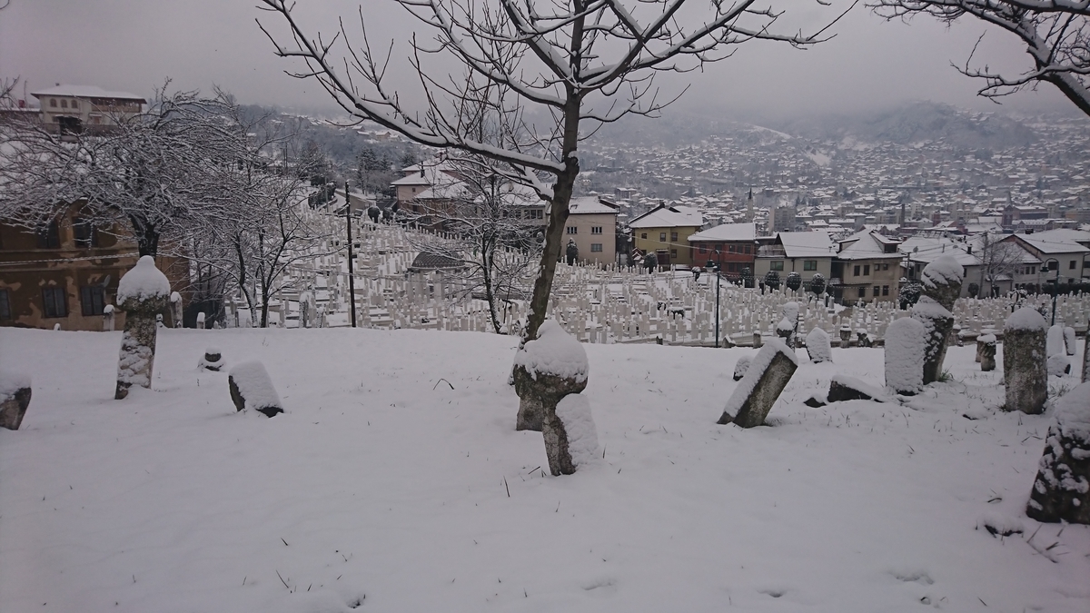 f:id:hydroxideminus:20210202103108j:plain