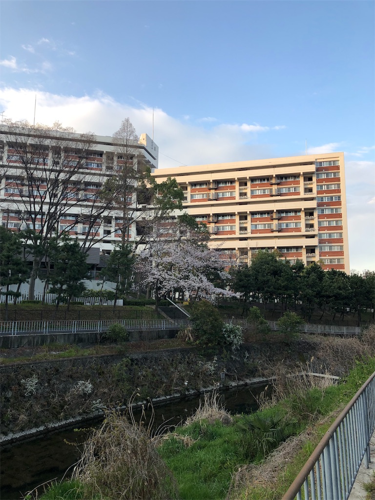 f:id:hyer:20190406202803j:image f:id:hyer:20190406202803j:image