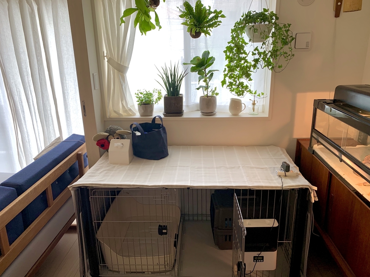 留守番用にオシャレな木製ケージを購入 Diy 愛犬とのシンプルな暮らし 留守番用にオシャレな木製ケージを購入 Diy 愛犬とのシンプルな暮らし