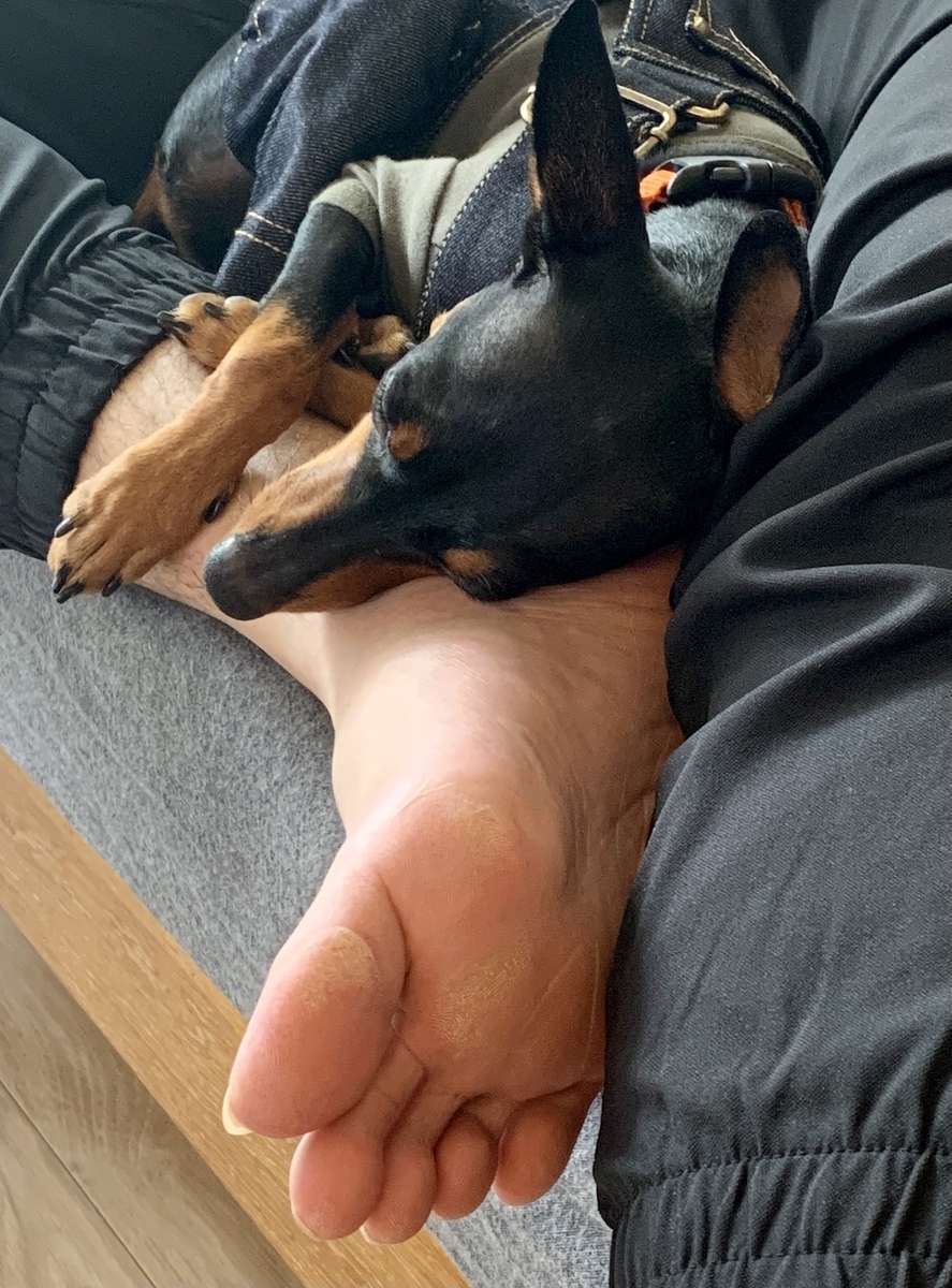 f:id:hygge47:20201010132225j:plain f:id:hygge47:20201010132225j:plain