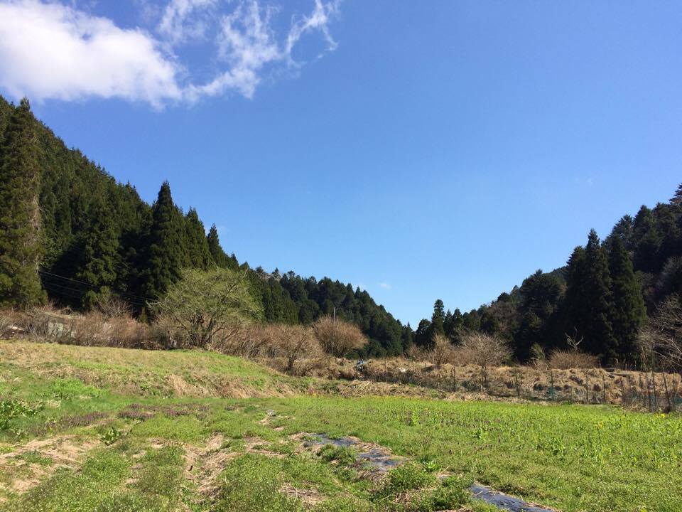 f:id:hyggenatura:20170426160538j:plain f:id:hyggenatura:20170426160538j:plain