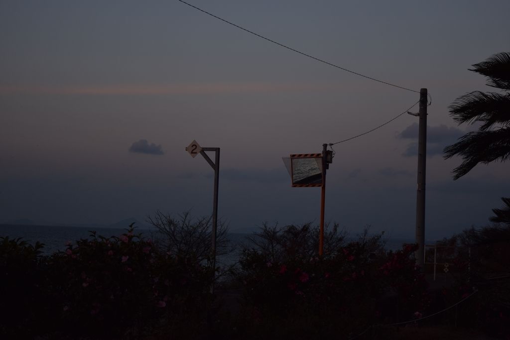 f:id:hyhyhyt1216:20190301144910j:plain f:id:hyhyhyt1216:20190301144910j:plain